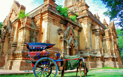 013 Local transport Bagan