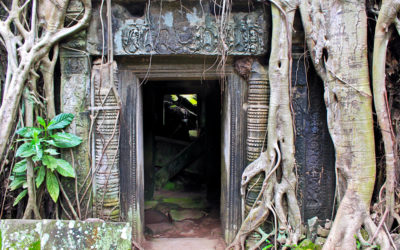014 Door in the jungle Ankor Wat