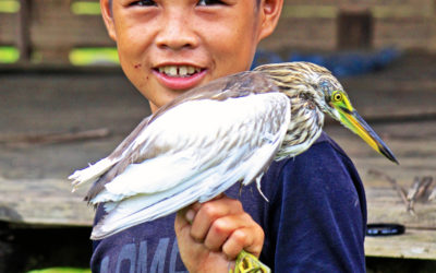 023 Boy & bird Laos