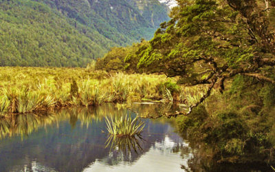 008 A mirror lake NZ